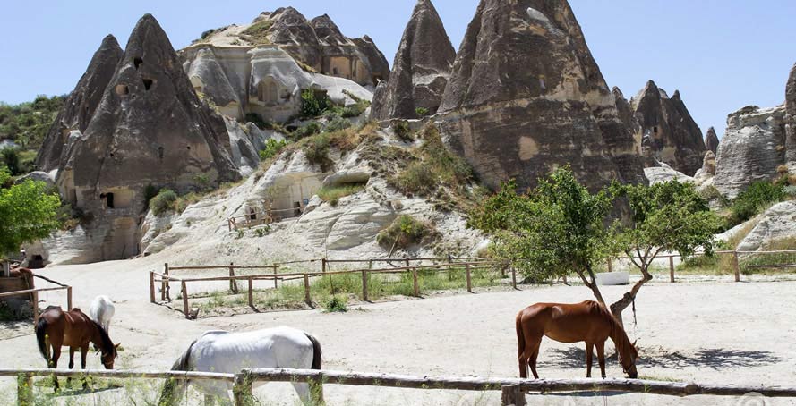 Cappadocia Explore and Hike Tour