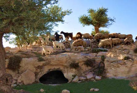 Ephesus Meeting Tour Religious Tour
