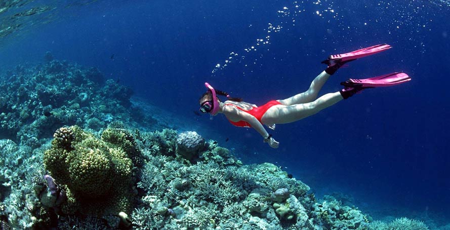 Kusadasi Diving Tour