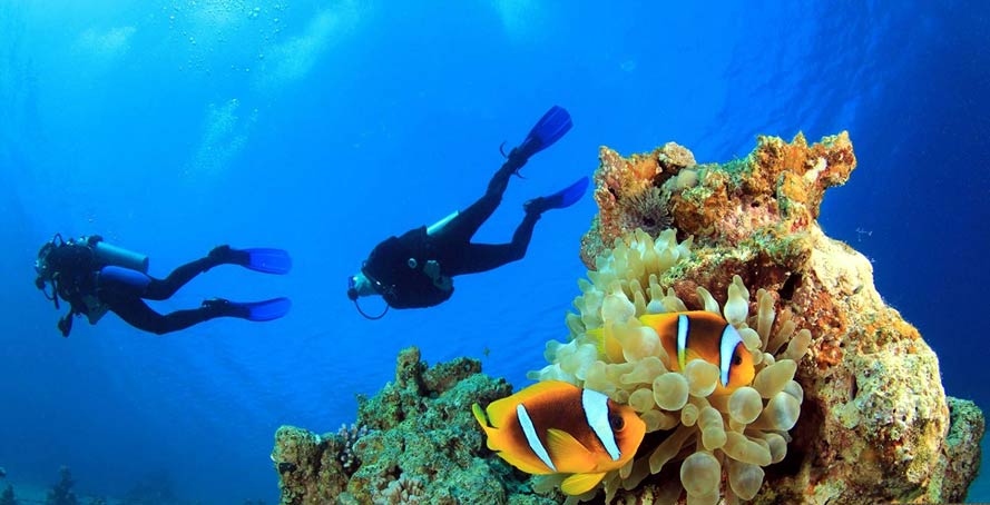 Kusadasi Diving Tour